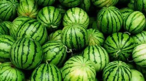 吃瓜视频今日大瓜51,揭秘娱乐圈惊天秘密，吃瓜群众纷纷热议