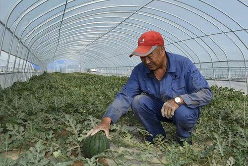 吃瓜群众最有福,见证时代风云，共享幸福时光