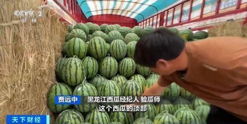 三代机场吃瓜,吃瓜群众眼中的机场变迁