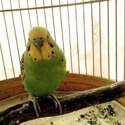 不醒喵吃瓜,揭秘娱乐圈那些鲜为人知的幕后故事