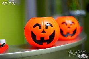 乐不思蜀了吧 吃瓜