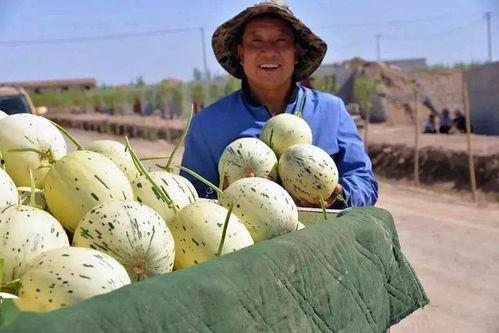 梦见和堂哥吃瓜,我与堂哥的甜蜜瓜缘
