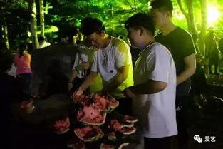 学院教授吃瓜事件,一场校园伦理争议的发酵