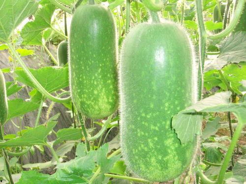 吃瓜喃喃,揭秘娱乐圈背后的那些事儿