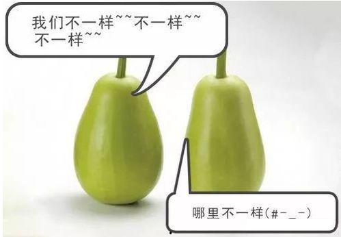 埃安吃瓜,揭秘娱乐圈幕后故事