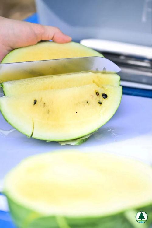 埃安吃瓜,揭秘娱乐圈幕后故事