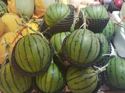 钟正吃瓜,揭秘娱乐圈幕后故事