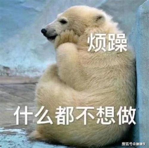 吃瓜群众演示图片,揭秘图片背后的故事