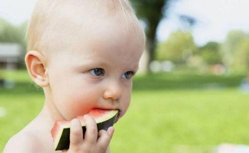 宝宝吃瓜神器推荐,吃瓜神器推荐盘点