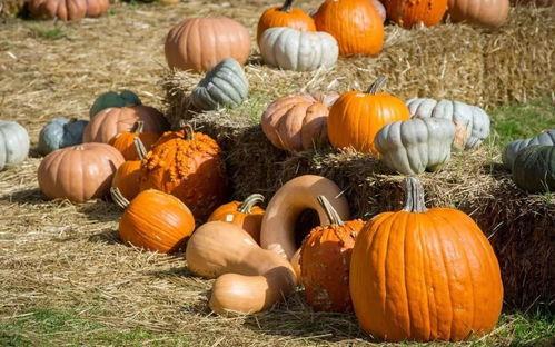 越界吃瓜,揭秘娱乐圈背后的秘密与风波