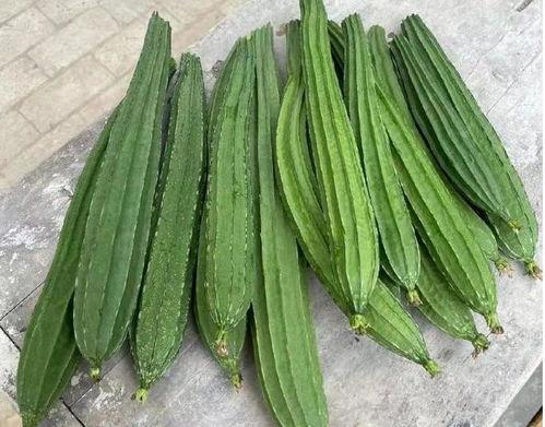 绿色瓜吃的,健康生活的绿色选择