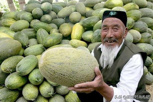 不甜的哈密瓜怎么吃,不甜哈密瓜的多样食法探索