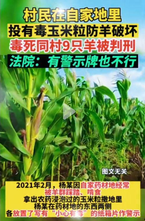 51空间吃瓜网,揭秘娱乐圈最新热点事件，带你领略幕后真相