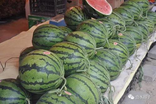 济源宣化街吃瓜