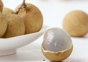 来月经能否吃籽瓜,助调养身体