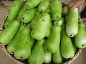 人家可以吃瓜吗,揭秘“吃瓜群众”的乐趣与边界