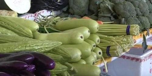 人家可以吃瓜吗,揭秘“吃瓜群众”的乐趣与边界